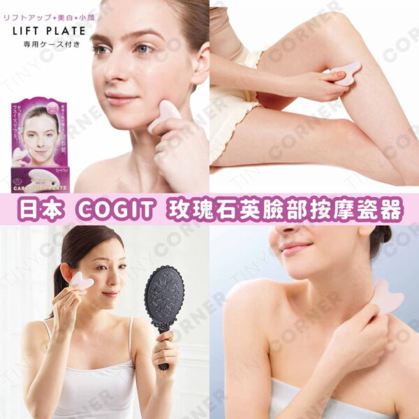 japan COGIT cassa body plate